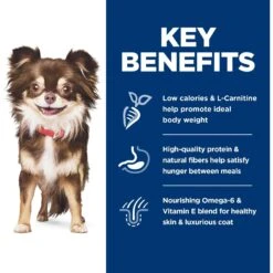 Hill's Science Diet Adult Sensitive Stomach & Skin Small & Mini Breed Chicken Recipe Dry Dog Food 16 Hill's Science Diet Adult Sensitive Stomach & Skin Small & Mini Breed Chicken Recipe Dry Dog Food -Blue Buffalo || ROYAL CANIN || Wellness Sales 96153 PT5. AC SS1800 V1693497922