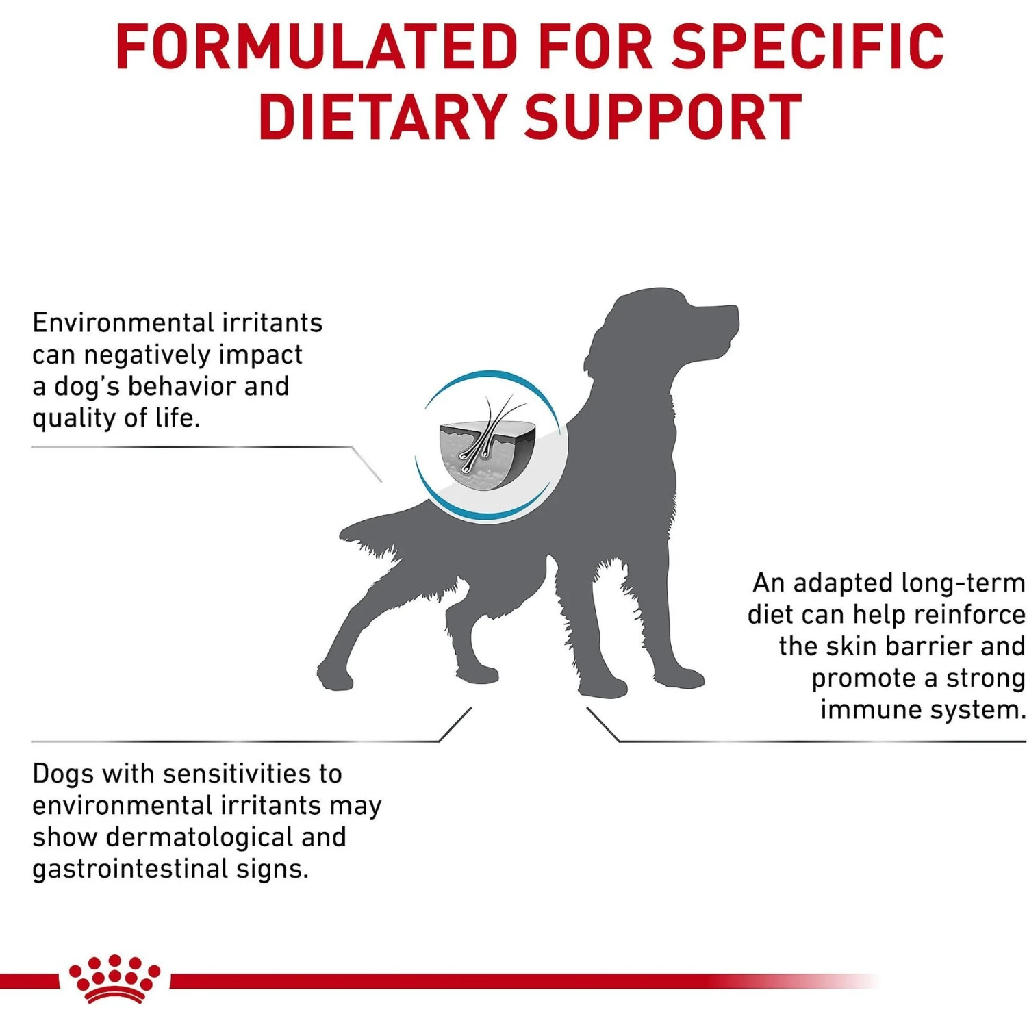 Royal Canin Veterinary Diet Skintopic Medium & Large Adult Dry Dog Food 7 Royal Canin Veterinary Diet Skintopic Medium & Large Adult Dry Dog Food - Image 5