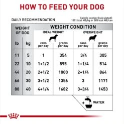 Royal Canin Veterinary Diet Skintopic Adult Loaf In Sauce Wet Dog Food, 13.5-oz Can, Case Of 24 -Blue Buffalo || ROYAL CANIN || Wellness Sales 972566 PT5. AC SS1800 V1698947350