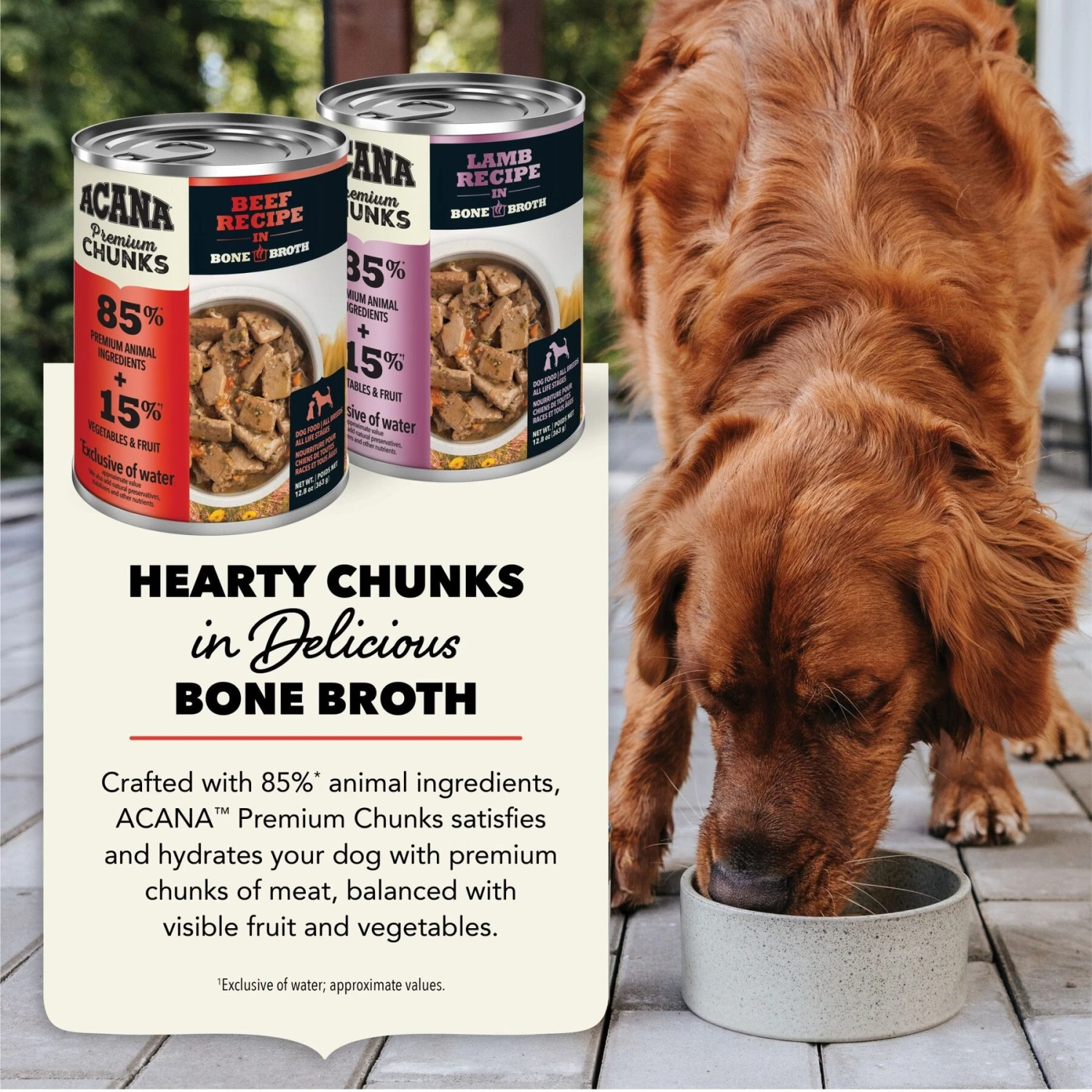 ACANA Lamb & Beef Recipe Variety Pack Grain-Free Wet Dog Food, 12-oz Can, Case Of 6 6 ACANA Lamb & Beef Recipe Variety Pack Grain-Free Wet Dog Food, 12-oz Can, Case Of 6 - Image 4