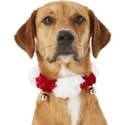 Frisco Holiday Dog & Cat Santa Hat, 1 Count & Frisco Jingle Bells Dog & Cat Holiday Collar With Bells, 1 Count -Blue Buffalo || ROYAL CANIN || Wellness Sales 986254 PT7. AC SS1800 V1698258115