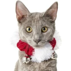 Frisco Jingle Bells Dog & Cat Holiday Collar With Bells, 1 Count & Frisco Holiday Antler Headband & Bell Collar Dog & Cat Costume -Blue Buffalo || ROYAL CANIN || Wellness Sales 986294 PT2. AC SS1800 V1698257738