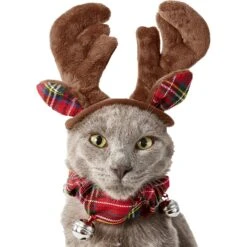 Frisco Jingle Bells Dog & Cat Holiday Collar With Bells, 1 Count & Frisco Holiday Antler Headband & Bell Collar Dog & Cat Costume -Blue Buffalo || ROYAL CANIN || Wellness Sales 986294 PT6. AC SS1800 V1698257736