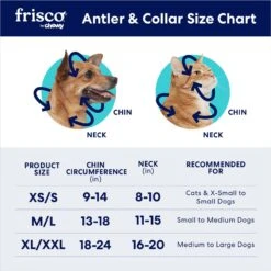 Frisco Jingle Bells Dog & Cat Holiday Collar With Bells, 1 Count & Frisco Holiday Antler Headband & Bell Collar Dog & Cat Costume -Blue Buffalo || ROYAL CANIN || Wellness Sales 986294 PT8. AC SS1800 V1698258174