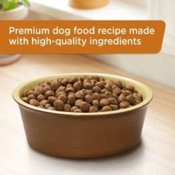 Rachael Ray Nutrish Real Turkey, Brown Rice & Venison Recipe Health Weight Dry Dog Food -Blue Buffalo || ROYAL CANIN || Wellness Sales 98683 PT3. AC SS1800 V1657661188