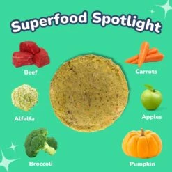 Healthybud Beef Patties Freeze-Dried Dog Food, 14-oz Bag -Blue Buffalo || ROYAL CANIN || Wellness Sales 992606 PT2. AC SS1800 V1702938447