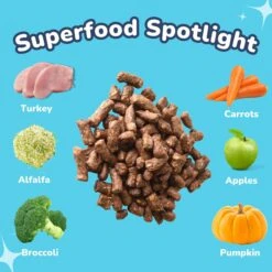 Healthybud Turkey Meal Bites Freeze-Dried Dog Food, 14-oz Bag -Blue Buffalo || ROYAL CANIN || Wellness Sales 992662 PT2. AC SS1800 V1702938420