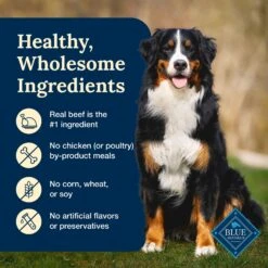Blue Buffalo Delectables Beef Dinner Natural Wet Dog Food, 3-oz Pouch, Case Of 24 15 Blue Buffalo Delectables Beef Dinner Natural Wet Dog Food, 3-oz Pouch, Case Of 24 -Blue Buffalo || ROYAL CANIN || Wellness Sales 992790 PT5. AC SS1800 V1699023084