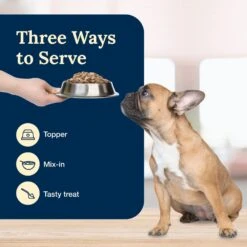 Blue Buffalo Delectables Beef Dinner Natural Wet Dog Food, 3-oz Pouch, Case Of 24 16 Blue Buffalo Delectables Beef Dinner Natural Wet Dog Food, 3-oz Pouch, Case Of 24 -Blue Buffalo || ROYAL CANIN || Wellness Sales 992790 PT6. AC SS1800 V1699023079