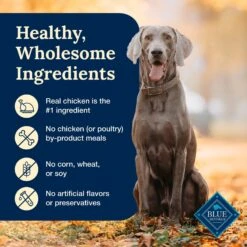 Blue Buffalo Delectables Chicken Dinner Natural Wet Dog Food 3-oz Pouch, Case Of 24 15 Blue Buffalo Delectables Chicken Dinner Natural Wet Dog Food 3-oz Pouch, Case Of 24 -Blue Buffalo || ROYAL CANIN || Wellness Sales 992806 PT5. AC SS1800 V1699023084