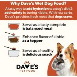 Dave's Pet Food Stewlicious Chicken Casserole Canned Dog Food 8 Dave's Pet Food Stewlicious Chicken Casserole Canned Dog Food -Blue Buffalo || ROYAL CANIN || Wellness Sales 99507 PT6. AC SS1800 V1516740059