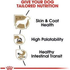 Royal Canin Breed Health Nutrition Chihuahua Adult Loaf In Sauce Dog Food -Blue Buffalo || ROYAL CANIN || Wellness Sales 99656 PT2. AC SS1800 V1592559955