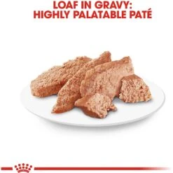 Royal Canin Breed Health Nutrition Chihuahua Adult Loaf In Sauce Dog Food -Blue Buffalo || ROYAL CANIN || Wellness Sales 99656 PT5. AC SS1800 V1592850093