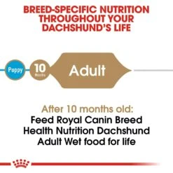 Royal Canin Breed Health Nutrition Dachshund Adult Loaf In Sauce Canned Dog Food 14 Royal Canin Breed Health Nutrition Dachshund Adult Loaf In Sauce Canned Dog Food -Blue Buffalo || ROYAL CANIN || Wellness Sales 99665 PT3. AC SS1800 V1592564453
