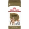 Royal Canin Breed Health Nutrition Poodle Adult Loaf In Sauce Canned Dog Food -Blue Buffalo || ROYAL CANIN || Wellness Sales 99667 MAIN. AC SS1800 V1592948781