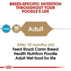 Royal Canin Breed Health Nutrition Poodle Adult Loaf In Sauce Canned Dog Food -Blue Buffalo || ROYAL CANIN || Wellness Sales 99667 PT3. AC SS1800 V1592562056