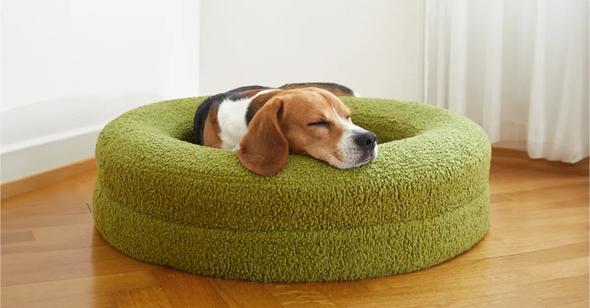 Blue Buffalo || ROYAL CANIN || Wellness Sales 39 Blue Buffalo || ROYAL CANIN || Wellness Sales -Blue Buffalo || ROYAL CANIN || Wellness Sales Rectangle 2068